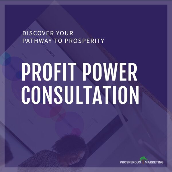 Profit Power Digital Marketing Consultation 229391